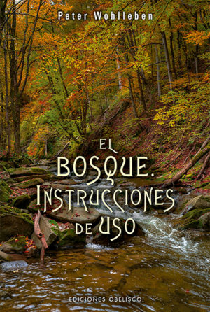 El Bosque